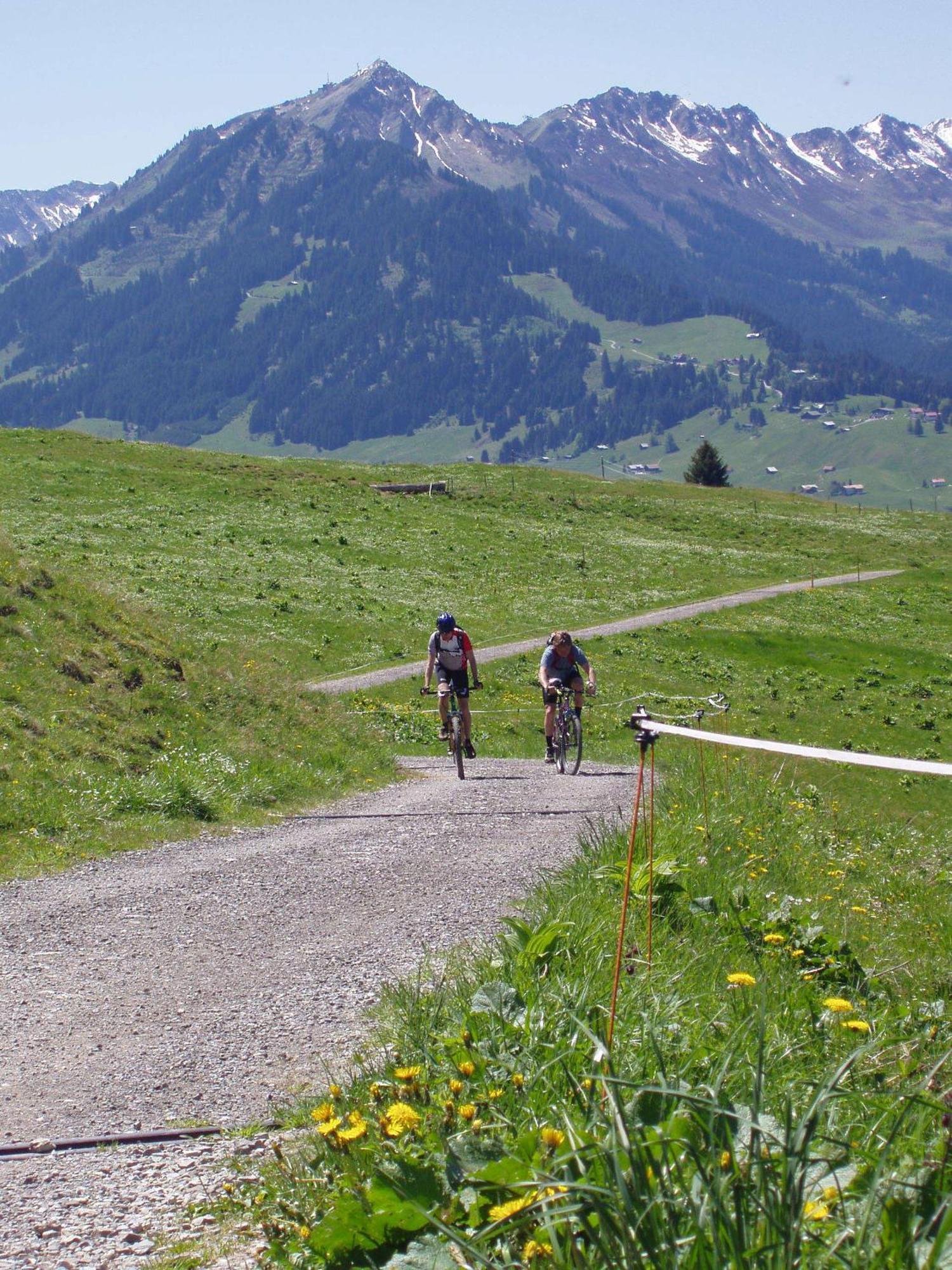 Gaestehaus Zur Faerbe Apartments Oberstdorf Extérieur photo